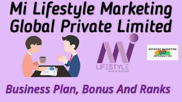 Mi lifestyle Business Plan 2021