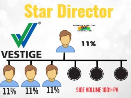 Vestige-Star-Director